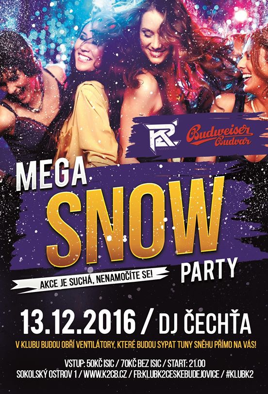 Mega Snow party