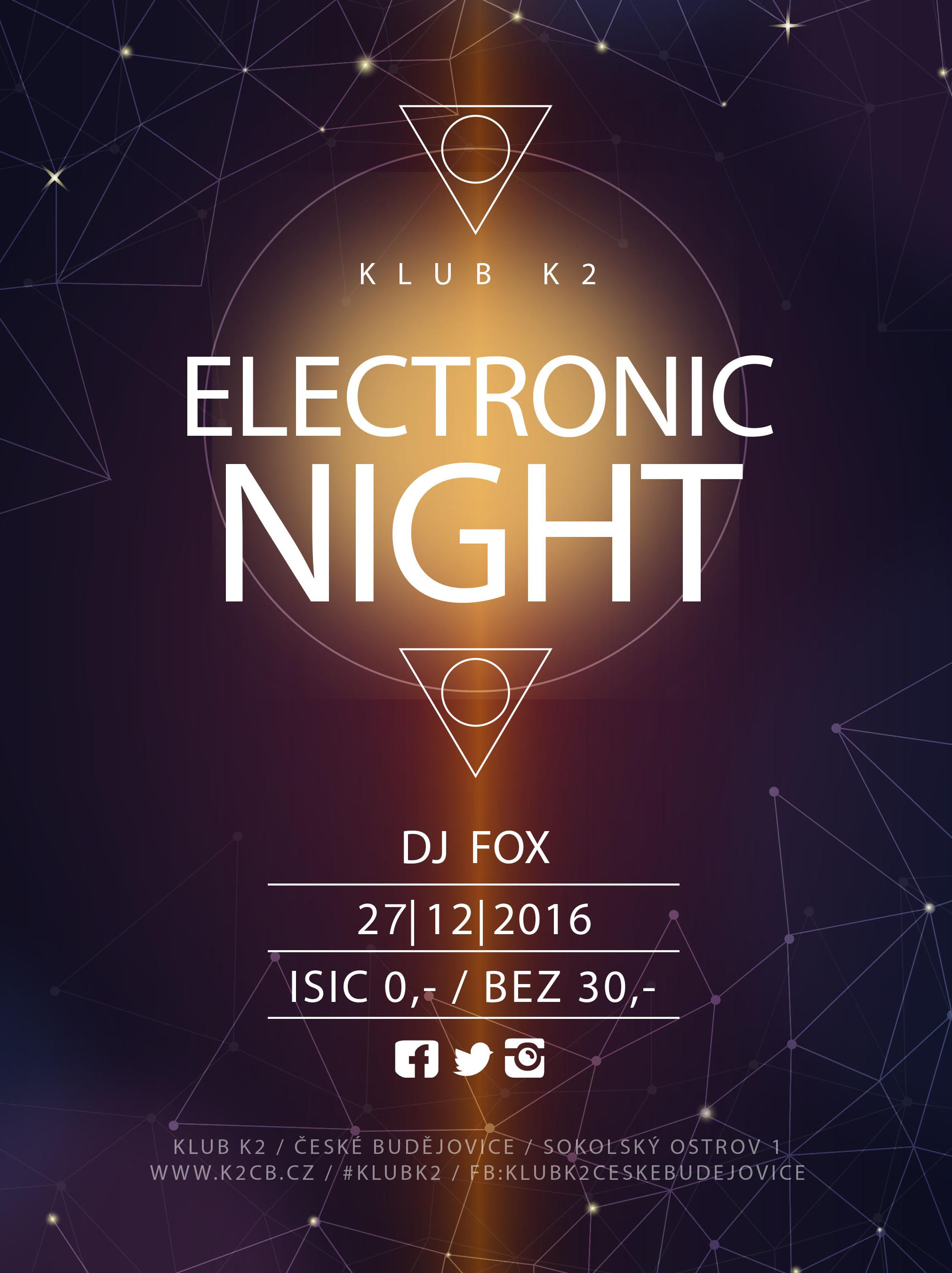 Electronic Night