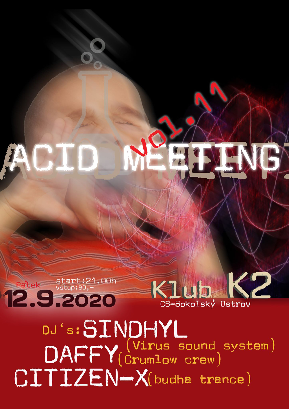 Acid virus meeting vol. XI